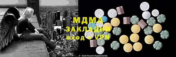 индика Вязьма